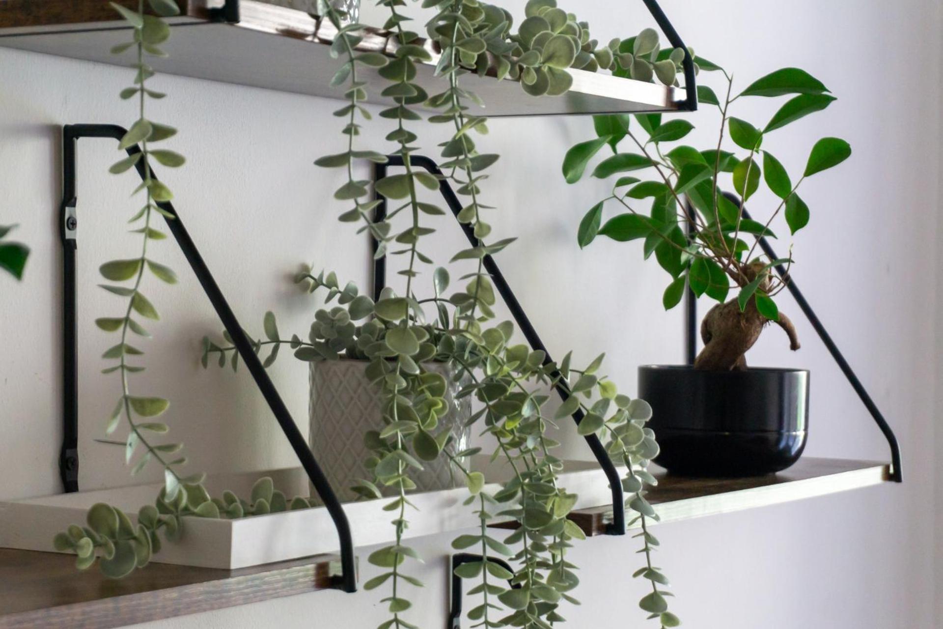 Apartment With Garden Close To Stadthalle, Westbahnhof Vienna Luaran gambar